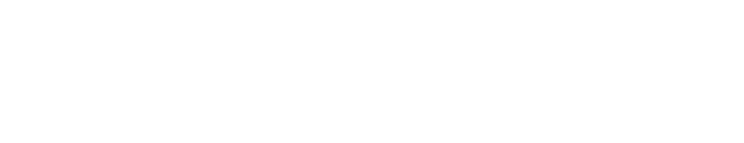 Debt Reset White Logo